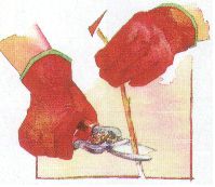 Poda