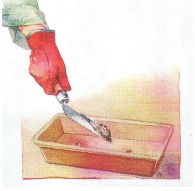 Gravilla